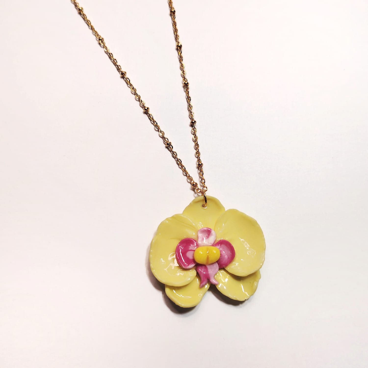 orquídea amarilla orquídea amarilla