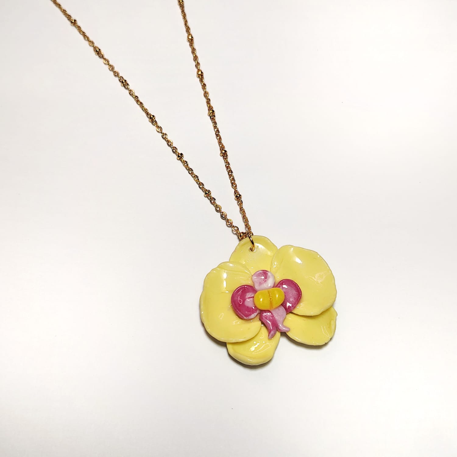 orquídea amarilla orquídea amarilla